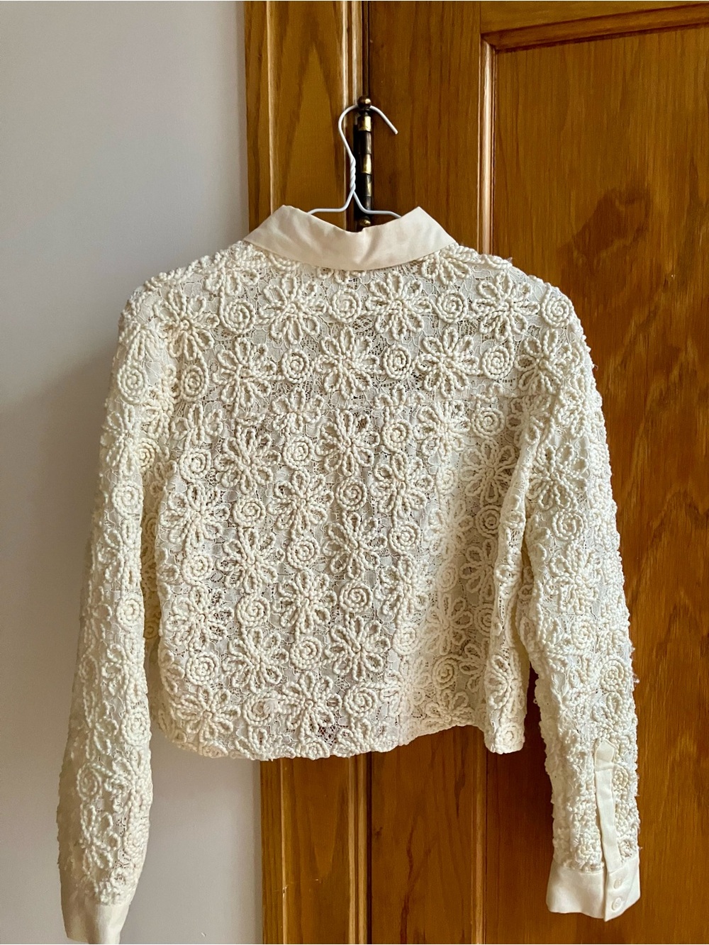 Vintage Lace Button-Front Collared Top in Cream - Picture 4 of 4